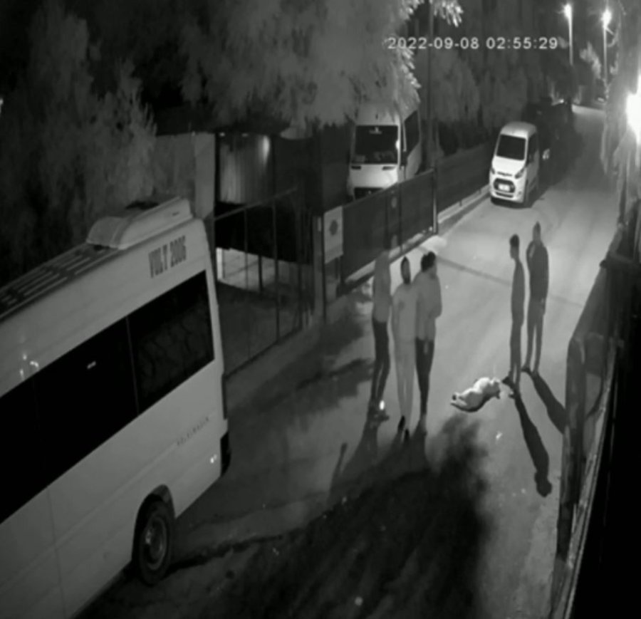 Yavruyken Aldığı Can Dostu Gözlerinin Önünde Otomobilin Altında Kaldı, Gözyaşlarına Boğuldu