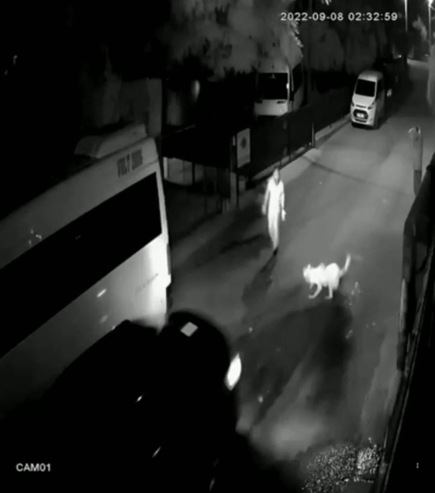 Yavruyken Aldığı Can Dostu Gözlerinin Önünde Otomobilin Altında Kaldı, Gözyaşlarına Boğuldu