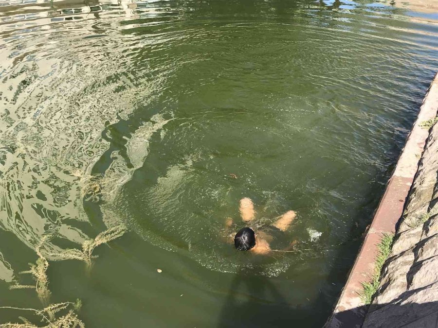 Arkadaşlarının Boğulduğu Noktada ‘bizden Hızlısı Mezarda’ Diyerek Yüzdüler