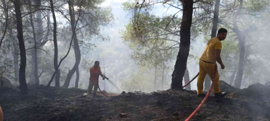 Antalya’da Çıkan Orman Yangını Kontrol Altına Alındı