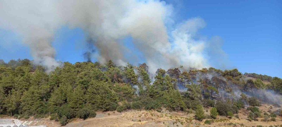 Antalya’da Çıkan Orman Yangını Kontrol Altına Alındı