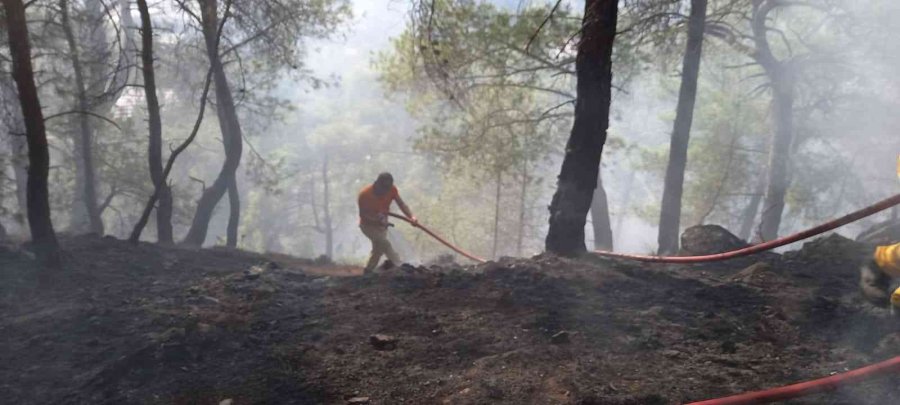 Antalya’da Çıkan Orman Yangını Kontrol Altına Alındı