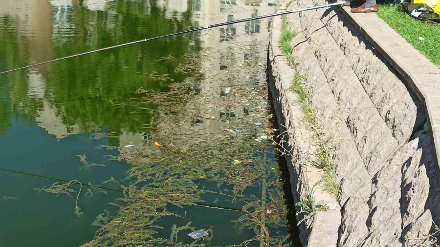 Porsuk Çayı Ve Çevresine Atılan Çöpler Kötü Görüntüler Oluşturdu