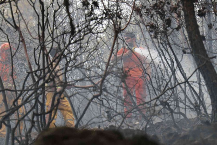 Alanya’daki Orman Yangını Kontrol Altına Alındı