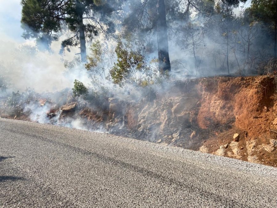 Alanya’da Orman Yangını