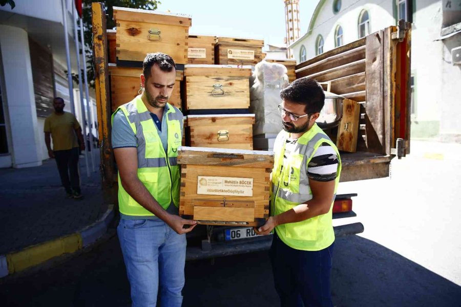 Antalya Büyükşehir’den Arıcıya Kovan Desteği