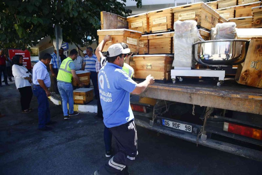 Antalya Büyükşehir’den Arıcıya Kovan Desteği