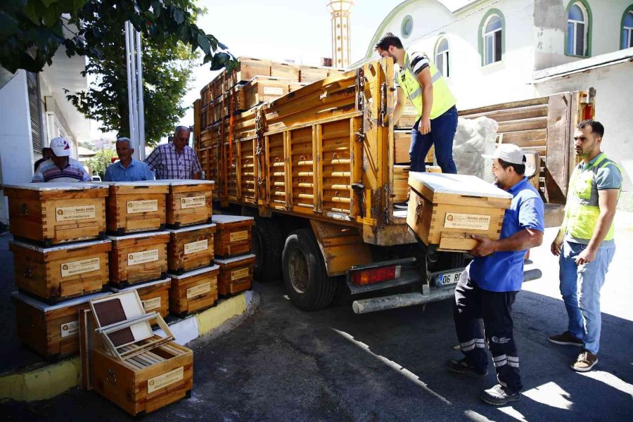 Antalya Büyükşehir’den Arıcıya Kovan Desteği