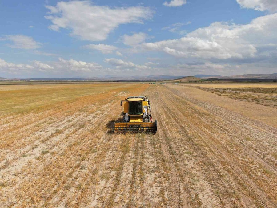 Okuldaki Bilginin Tarlada Hasadı Yapıldı