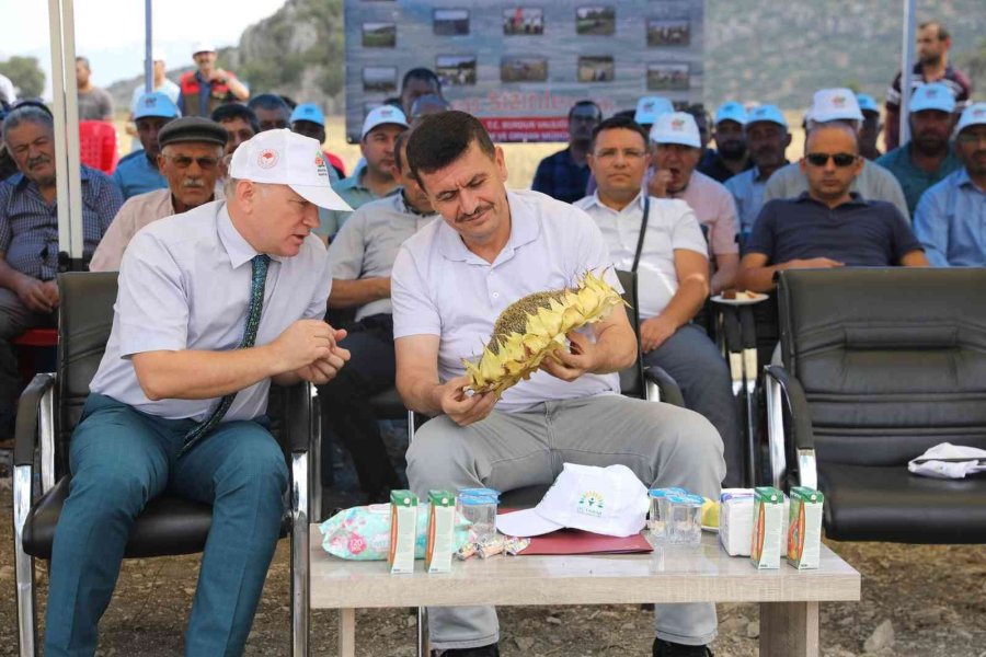 Burdur Valisi Arslantaş Takep Çerçevesinde Ayçiçeği Hasatını Başlattı