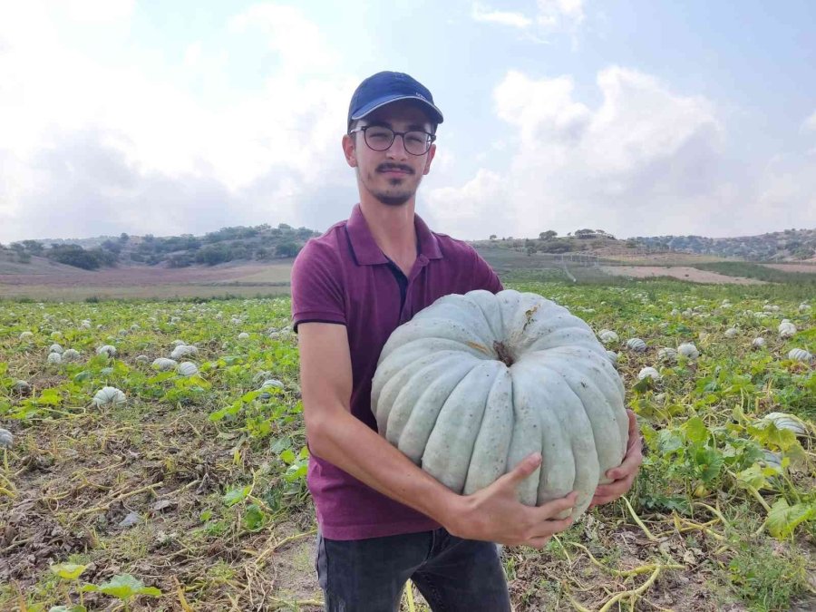Kızılinler’in Bal Kabağı Türkiye’nin Farklı Yörelerindeki Sofraları Süslüyor