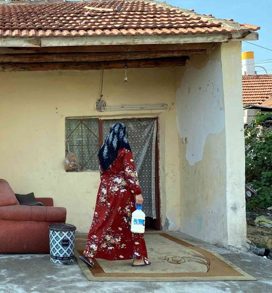 Başkan Büyükkılıç’ın Talimatıyla Süt Dağıtımı Başladı