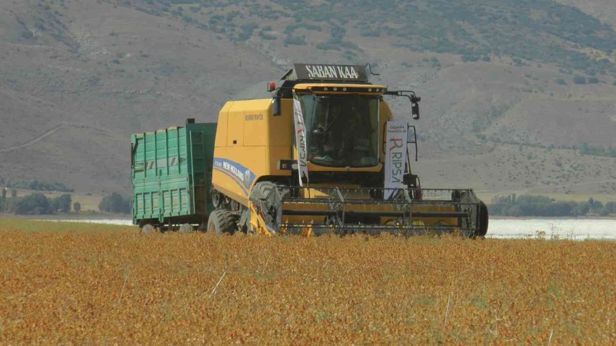 Okuldaki Bilginin Tarlada Hasadı Yapıldı