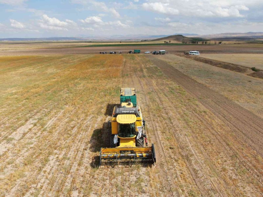 Okuldaki Bilginin Tarlada Hasadı Yapıldı