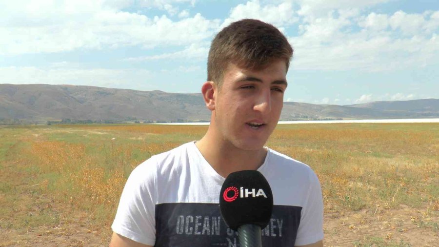 Okuldaki Bilginin Tarlada Hasadı Yapıldı