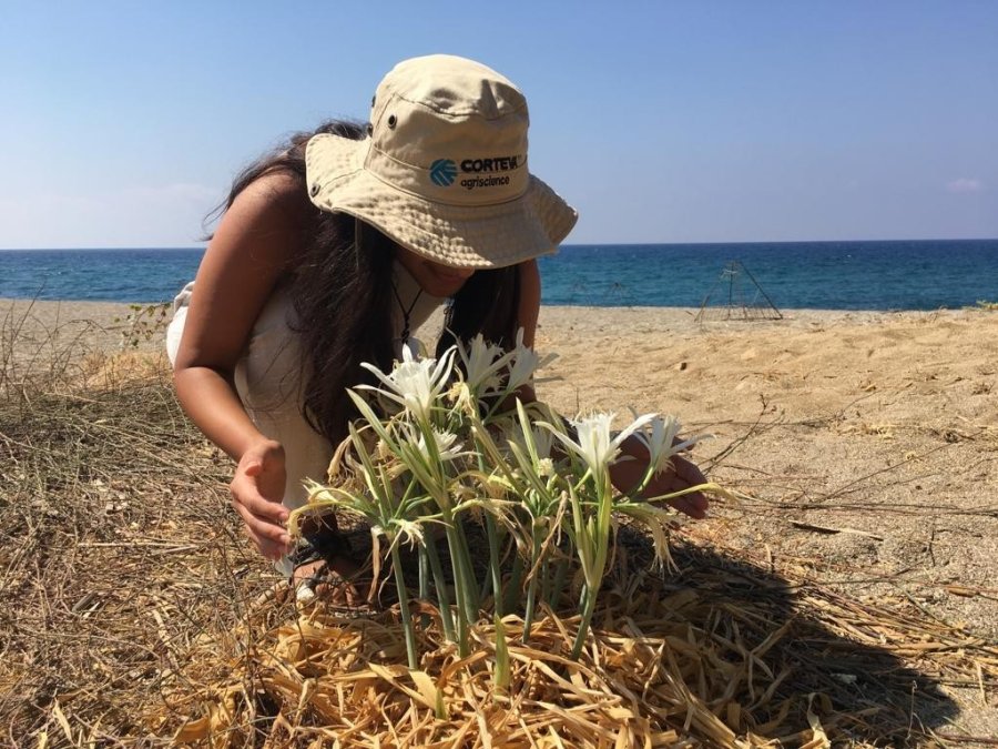 Kum Zambağını Koparana 220 Bin Tl’ye Varan Ceza Uyarısı