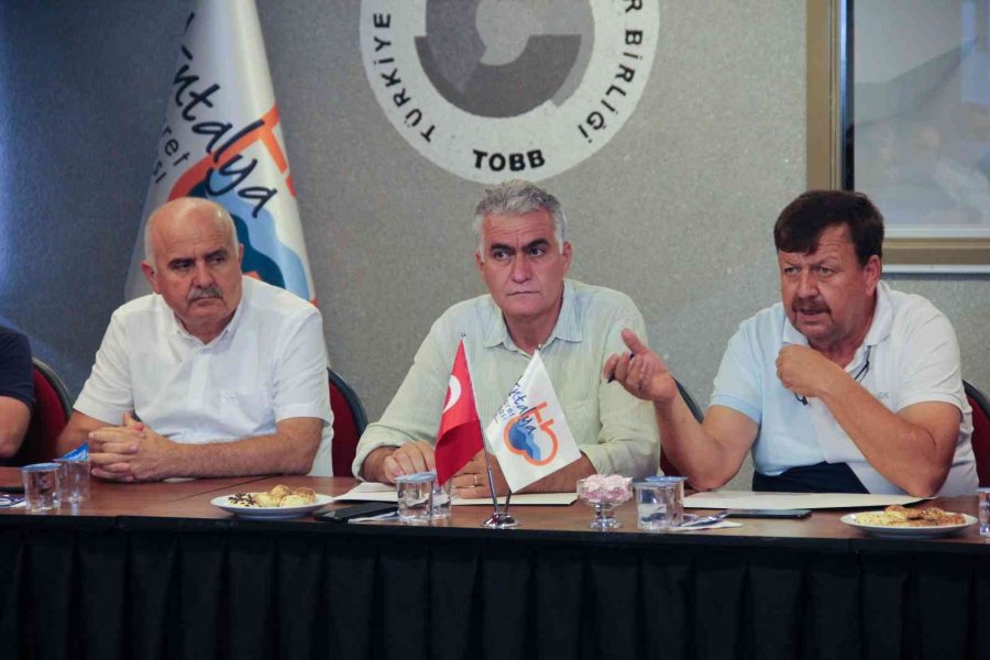 Zeytin Bu Yıl Yüz Güldürüyor