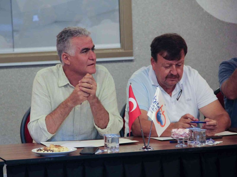 Zeytin Bu Yıl Yüz Güldürüyor