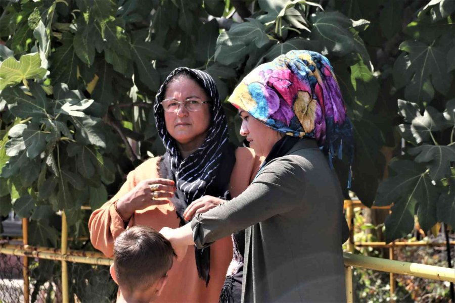 Müstakil Evin Terası Çıkan Yangında Küle Döndü