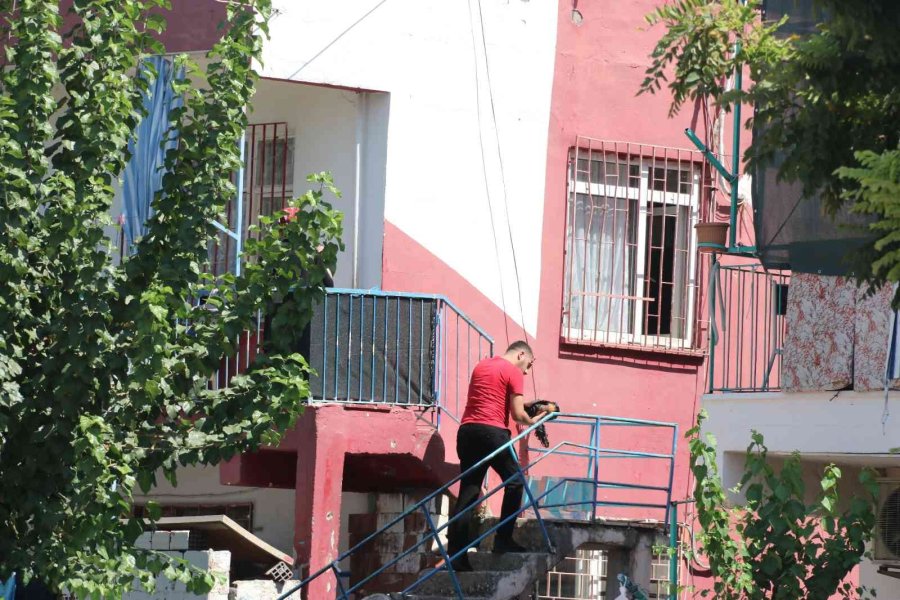 Müstakil Evin Terası Çıkan Yangında Küle Döndü