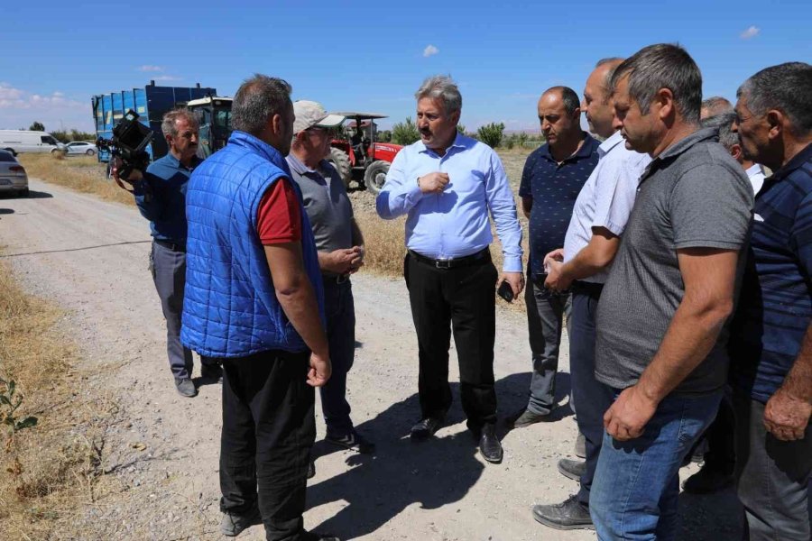 Başkan Dr. Palancıoğlu: “bölge Tarımına Destek; Aspir Tohumları Hasat Edilmeye Başlandı”