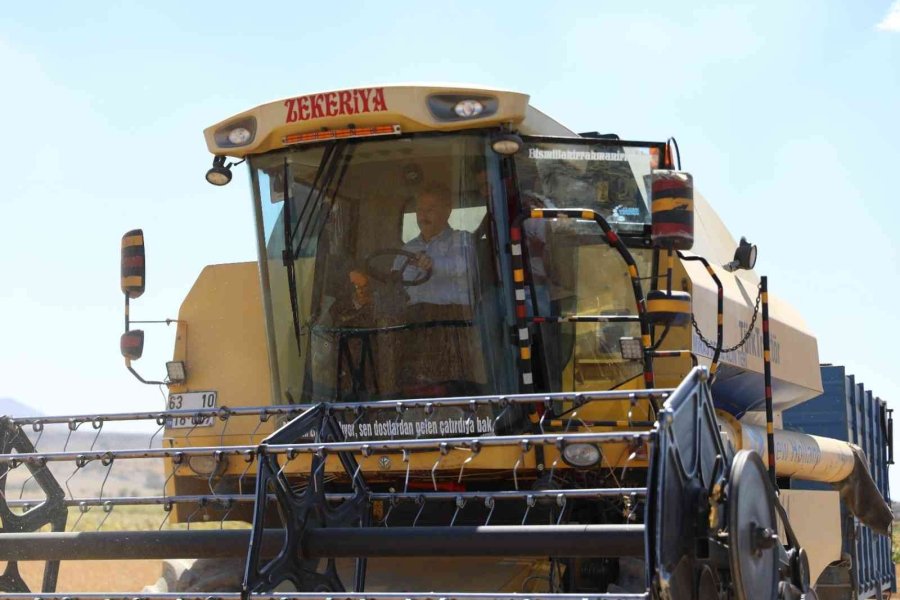 Başkan Dr. Palancıoğlu: “bölge Tarımına Destek; Aspir Tohumları Hasat Edilmeye Başlandı”