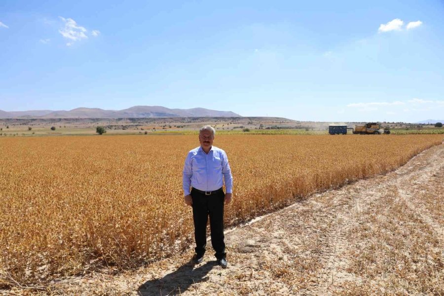 Başkan Dr. Palancıoğlu: “bölge Tarımına Destek; Aspir Tohumları Hasat Edilmeye Başlandı”