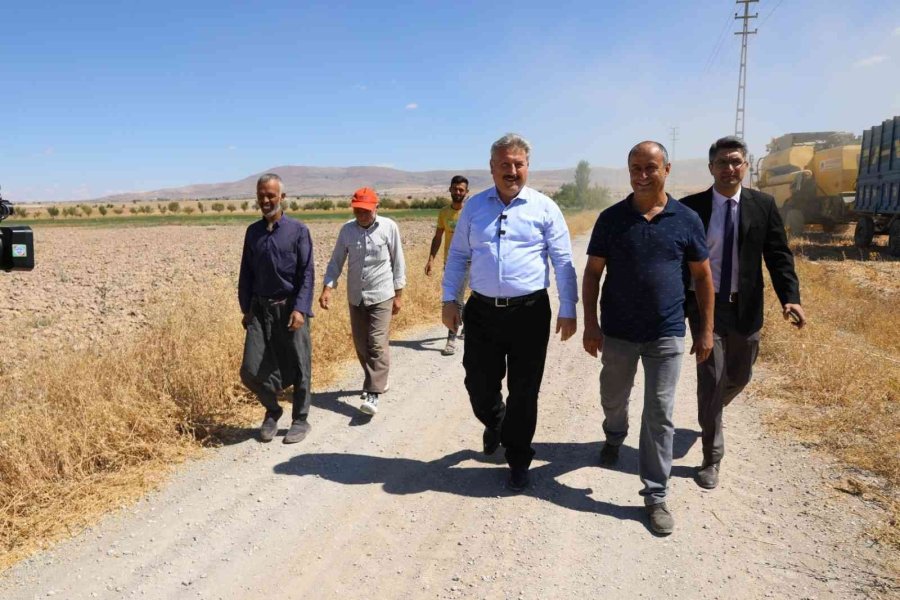Başkan Dr. Palancıoğlu: “bölge Tarımına Destek; Aspir Tohumları Hasat Edilmeye Başlandı”