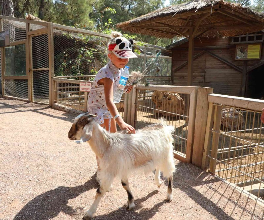 Savaş Mağduru Ukraynalı Çocukların Hayvanat Bahçesi Keyfi