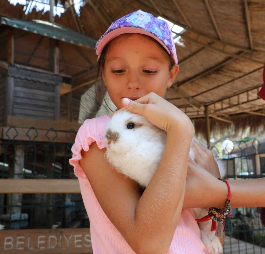 Savaş Mağduru Ukraynalı Çocukların Hayvanat Bahçesi Keyfi