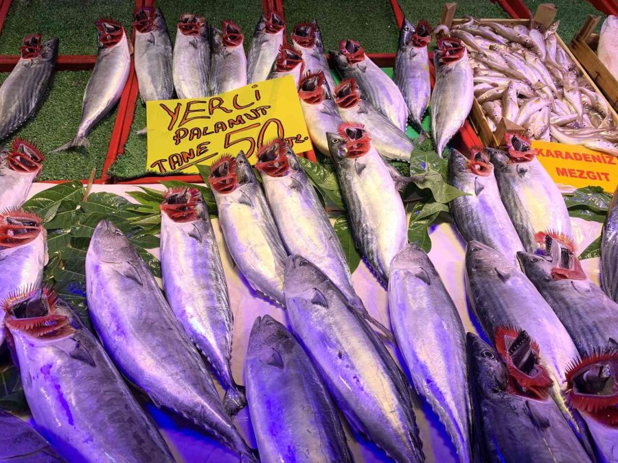 Tezgahlar Palamutla Doldu Taştı, Vatandaş Yoğun İlgi Gösterdi