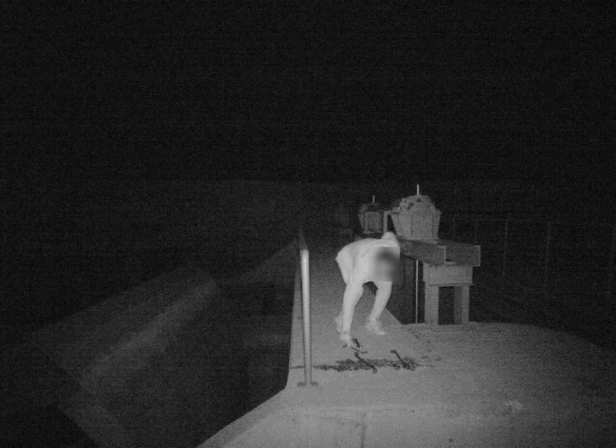 Foto Kapanlara Yaban Hayatı Değil, Hırsızlar Yakalandı