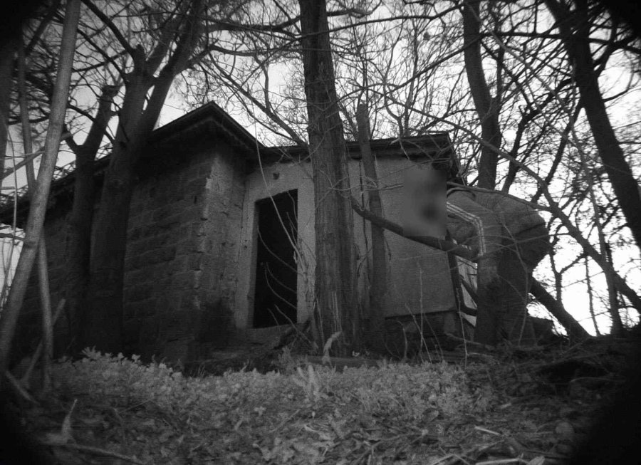 Foto Kapanlara Yaban Hayatı Değil, Hırsızlar Yakalandı