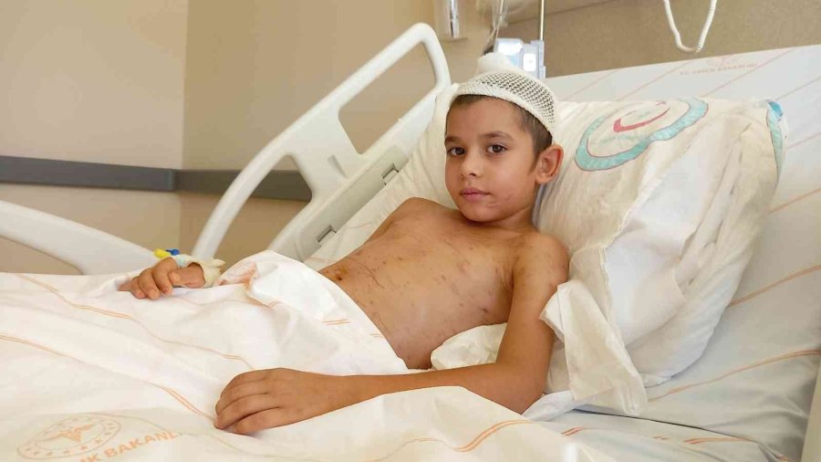 Köpeklerinin Saldırısı Sonucu Yaralanan Çocuk 22 Gün Sonra Taburcu Oldu