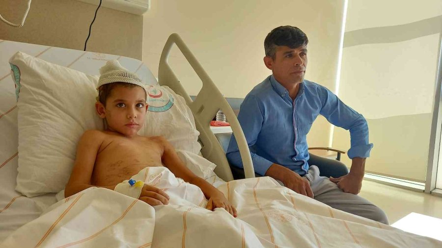 Köpeklerinin Saldırısı Sonucu Yaralanan Çocuk 22 Gün Sonra Taburcu Oldu