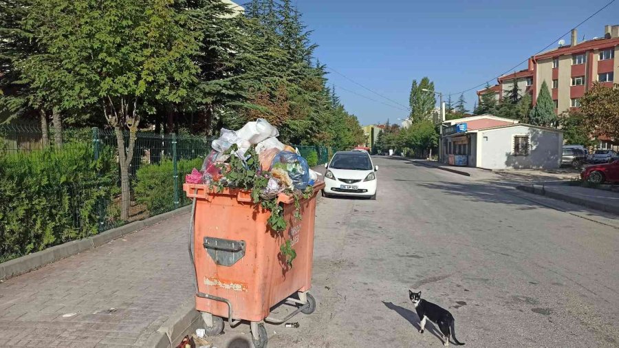 Vatandaşın Kırık Çöp Konteyneri İle İmtihanı