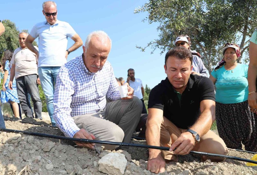 Şifalı Bitki Olarak Bilinen ’şevketi Bostan’ Tohumları Akdeniz’de Toprakla Buluştu