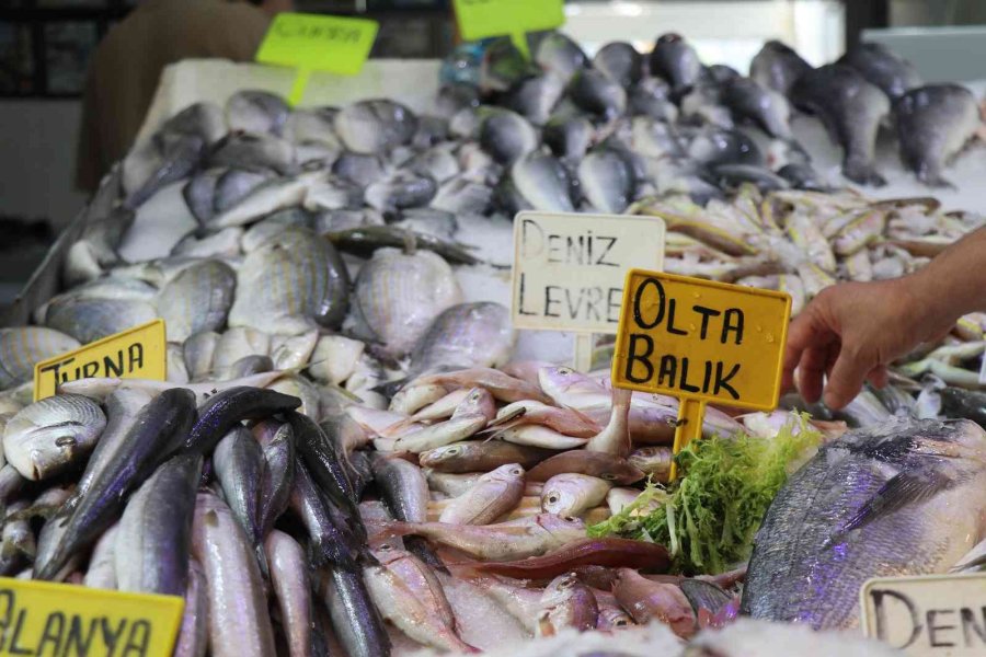 Antalya’da Av Sezonun Açılmasıyla Balıklar Tezgahlardaki Yerini Aldı