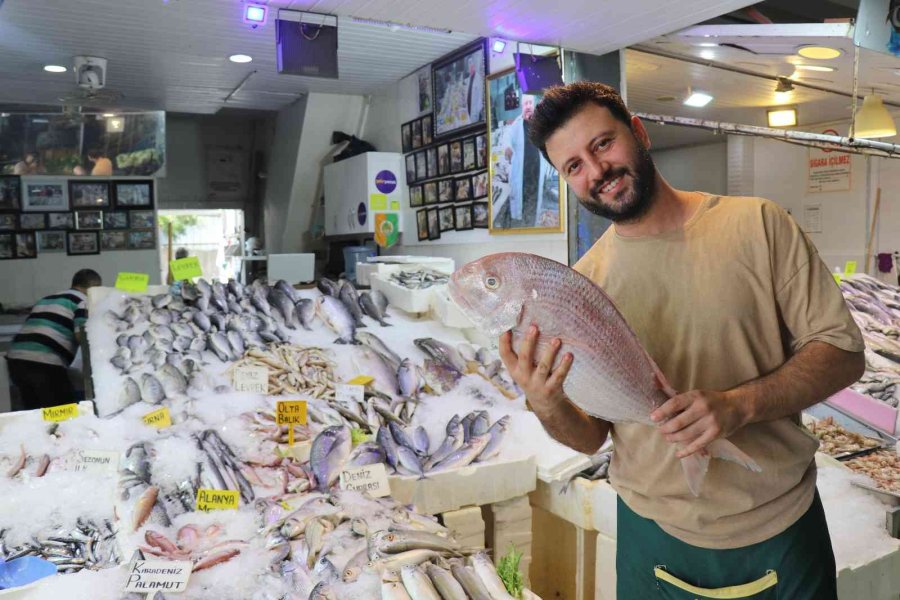 Antalya’da Av Sezonun Açılmasıyla Balıklar Tezgahlardaki Yerini Aldı