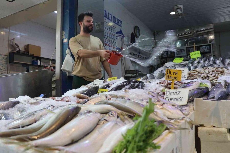 Antalya’da Av Sezonun Açılmasıyla Balıklar Tezgahlardaki Yerini Aldı