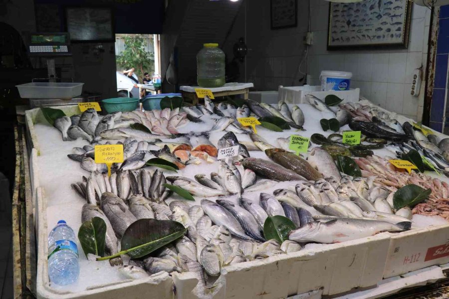Antalya’da Av Sezonun Açılmasıyla Balıklar Tezgahlardaki Yerini Aldı