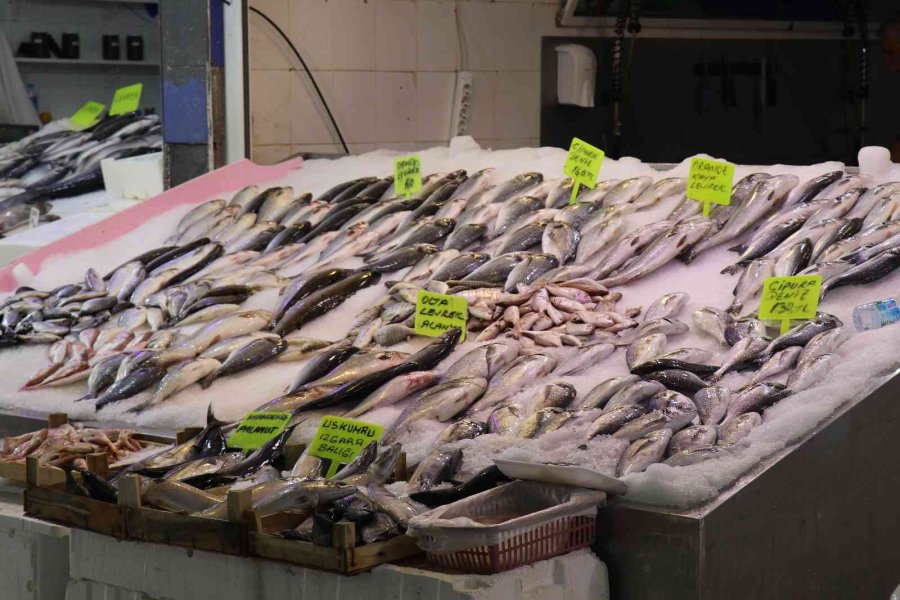 Antalya’da Av Sezonun Açılmasıyla Balıklar Tezgahlardaki Yerini Aldı