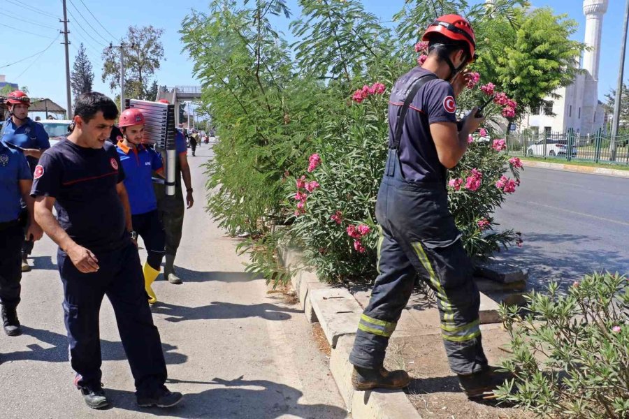 Bir Annenin En Acı Bekleyişi