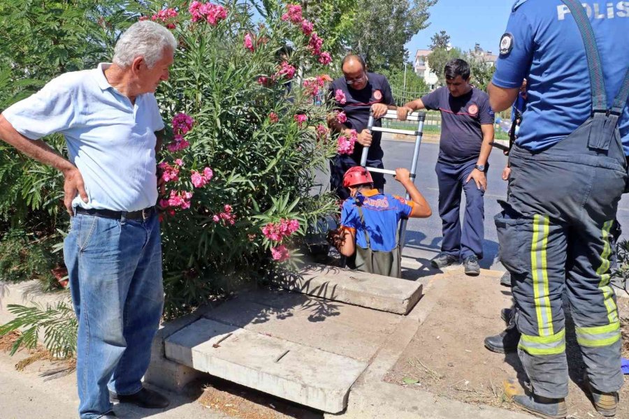 Bir Annenin En Acı Bekleyişi