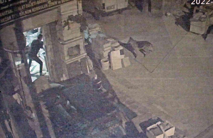 Antalya’da Akıl Almaz Olay, Tartıştığı Arkadaşına Sinirlenip Aynı İsmi Taşıyan Köpeği Vurdu