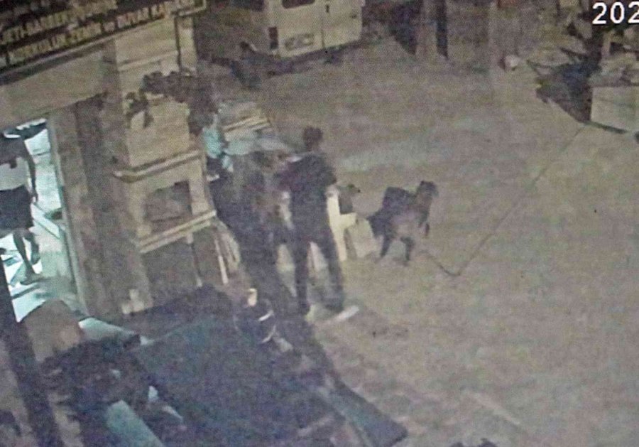 Antalya’da Akıl Almaz Olay, Tartıştığı Arkadaşına Sinirlenip Aynı İsmi Taşıyan Köpeği Vurdu