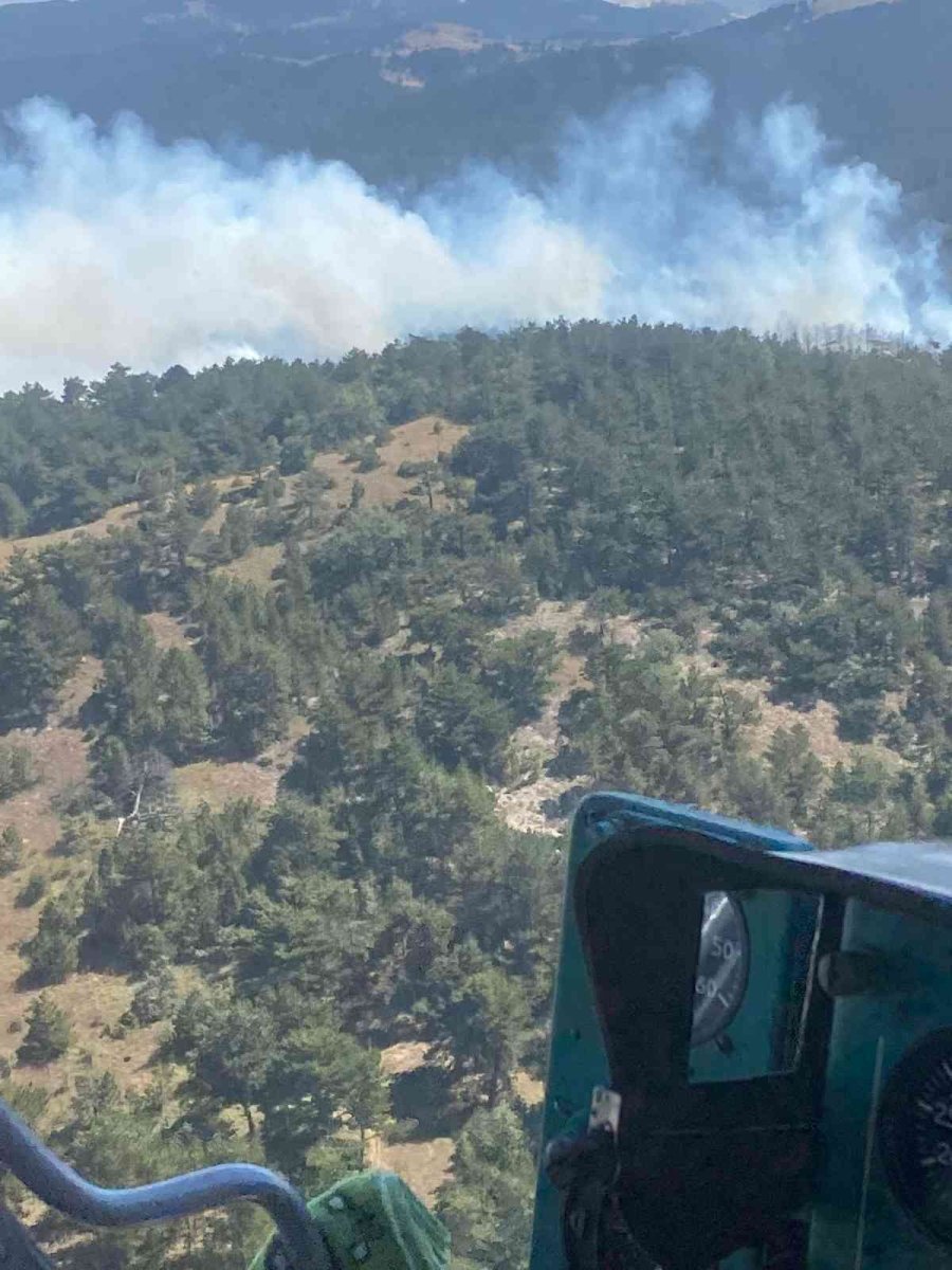 Eskişehir’de Orman Yangını