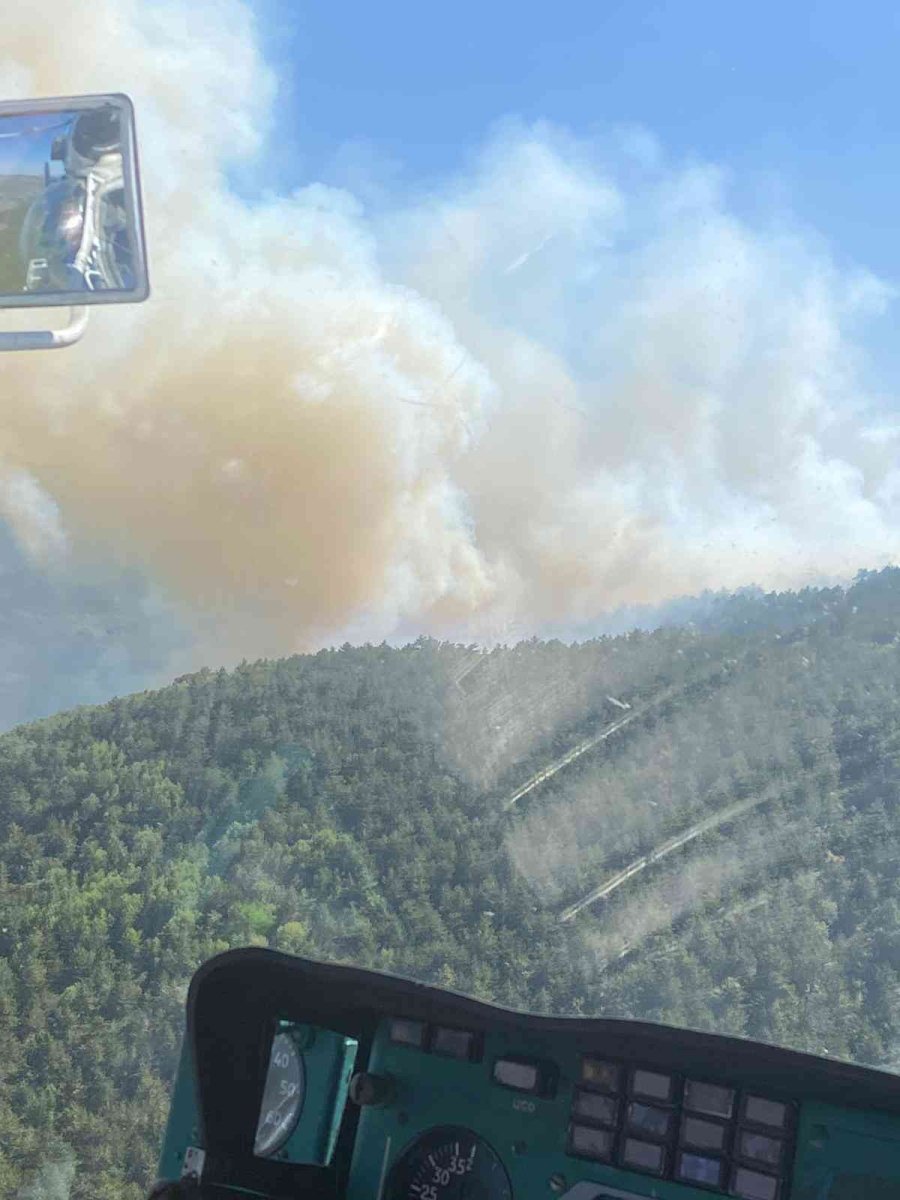 Eskişehir’de Orman Yangını