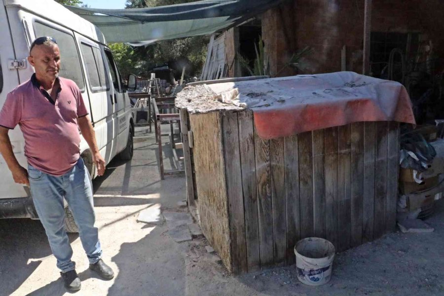 Antalya’da Akıl Almaz Olay, Tartıştığı Arkadaşına Sinirlenip Aynı İsmi Taşıyan Köpeği Vurdu