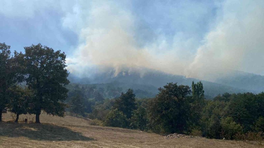 Eskişehir’deki Yangında 10 Hektarlık Meşe Ve Karaçam Ormanı Zarar Gördü